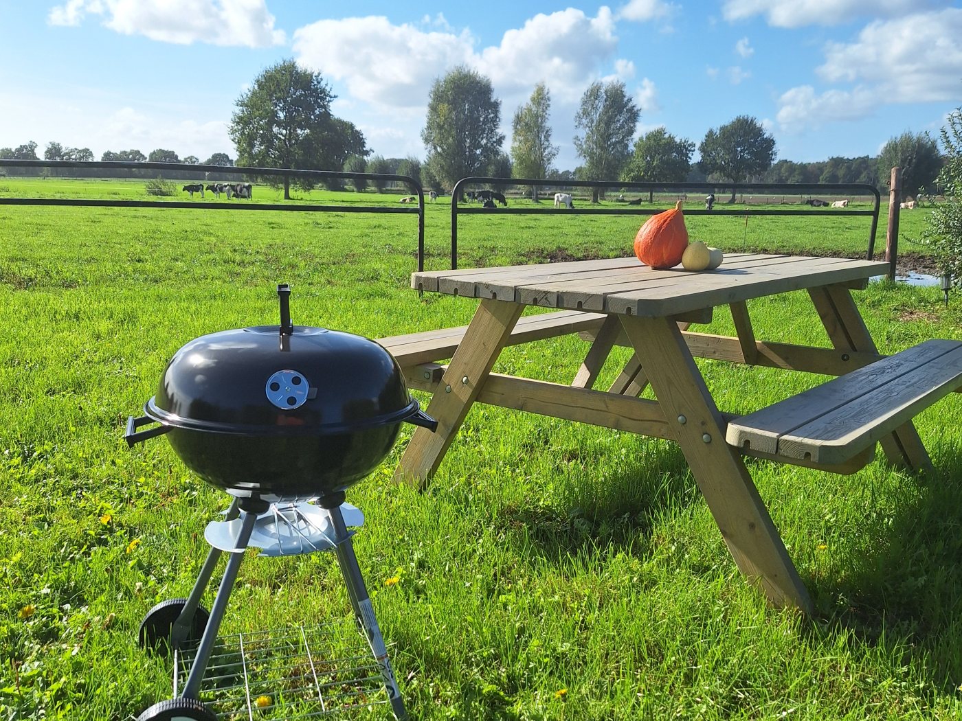 Grill auf der Terrasse