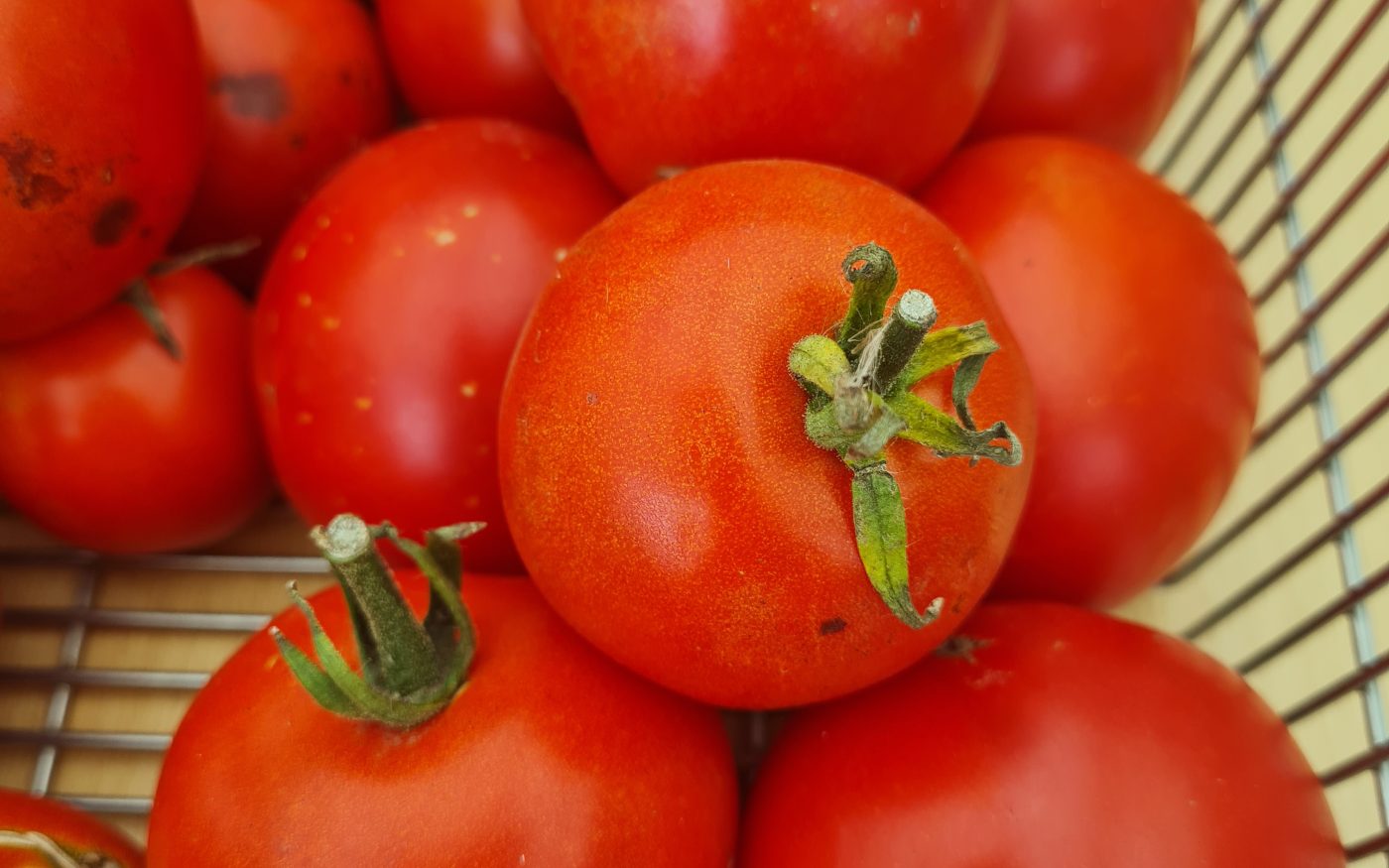 Gemüse aus dem Garten