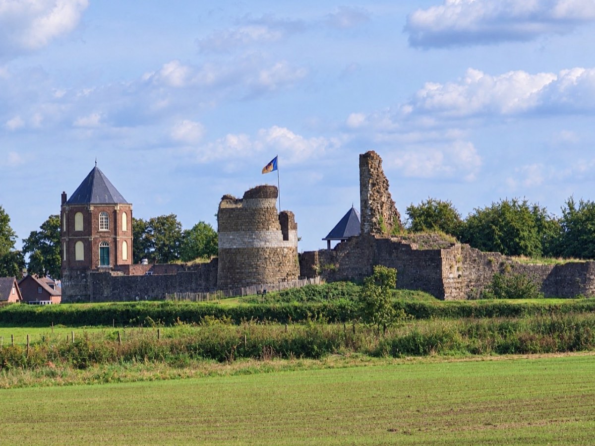 Die Ruine von Schloss Montfort zwischen den Feldern