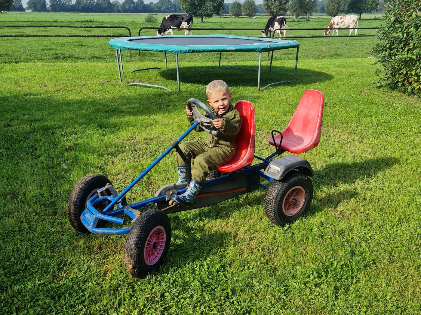Kind auf dem Tretgokart, dahinter das Trampolin und die Kühe auf der Weide